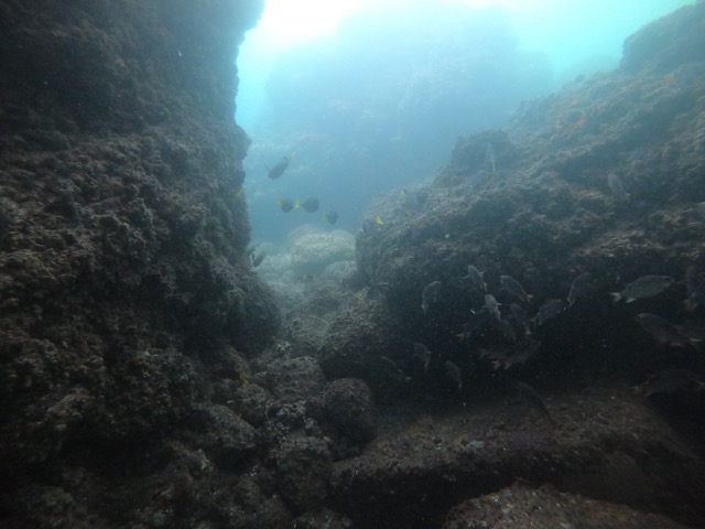 Shallow underwater reef