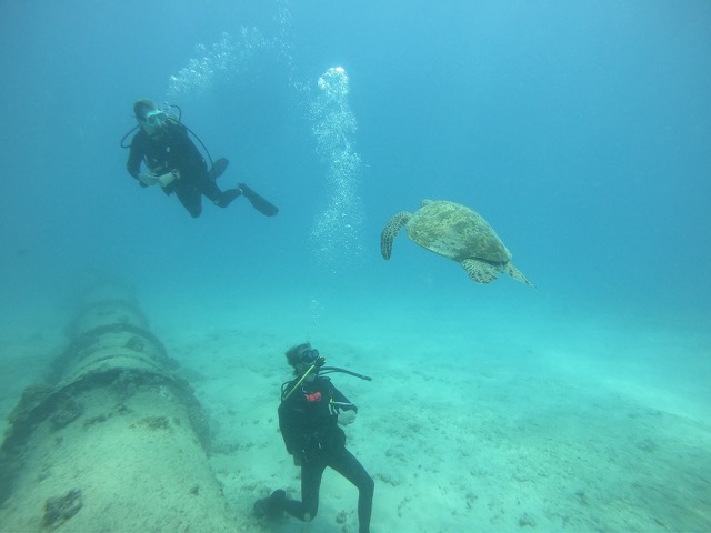 James, our divemaster, a turtle, and the Kewalo Pipe
