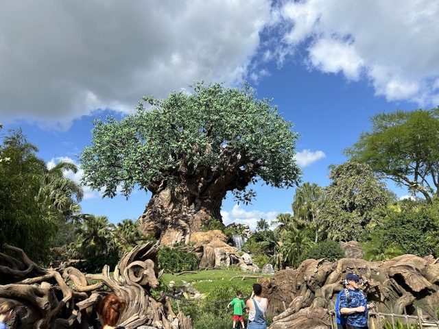 Tree of Life