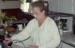 [06-dianne-ironing.jpg]