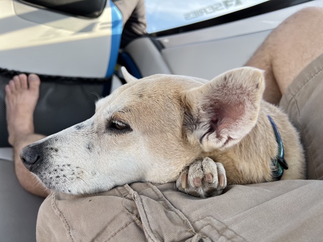 Relaxing on the boat