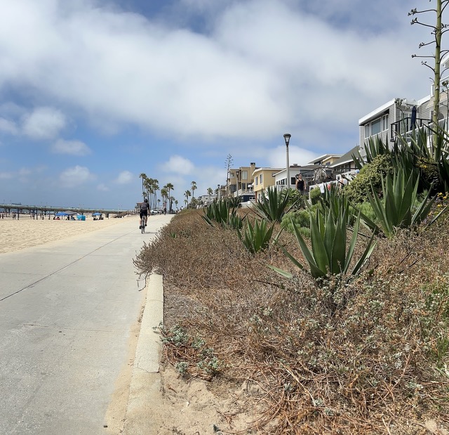 Manhattan Beach