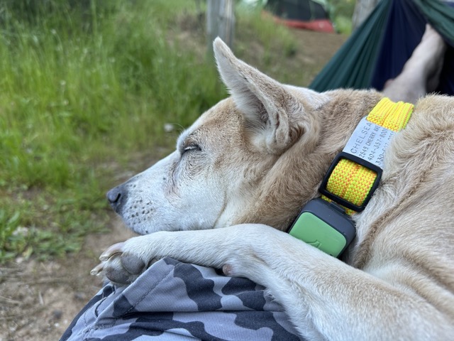 Chelsea cuddling in the hammock
