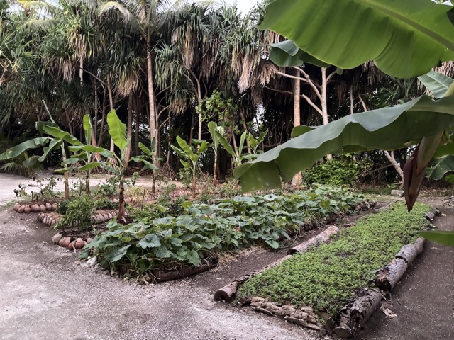 Organic Garden