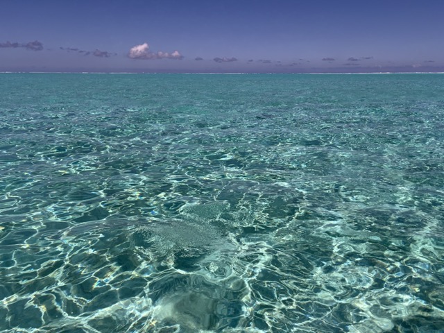The Lagoon
