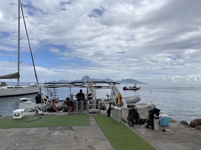 Our dive boats