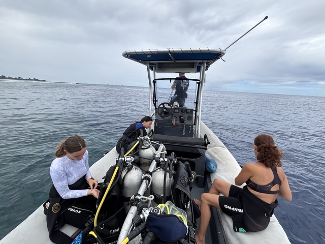 About to go diving!