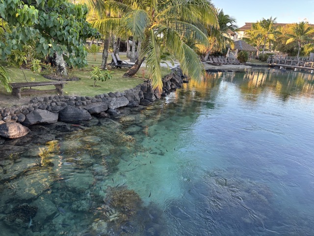 Hotel lagoon