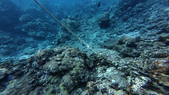 Anchor point