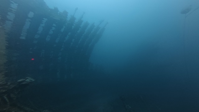 The belly of the ship almost looked like a ribcage