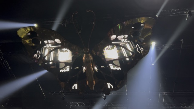 Really cool affect on the butterflies for Rezzmau5