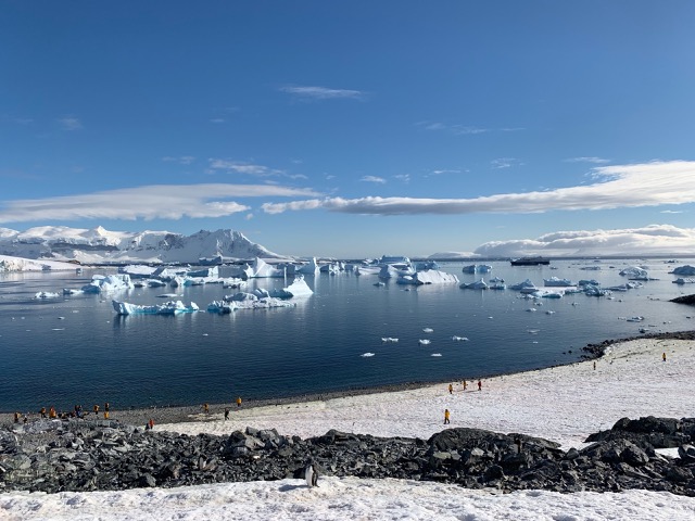 Antarctic Beach