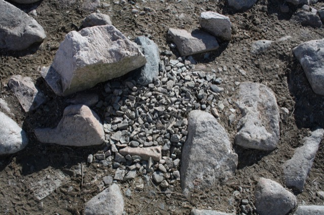 Penguin nest at Neko Harbor