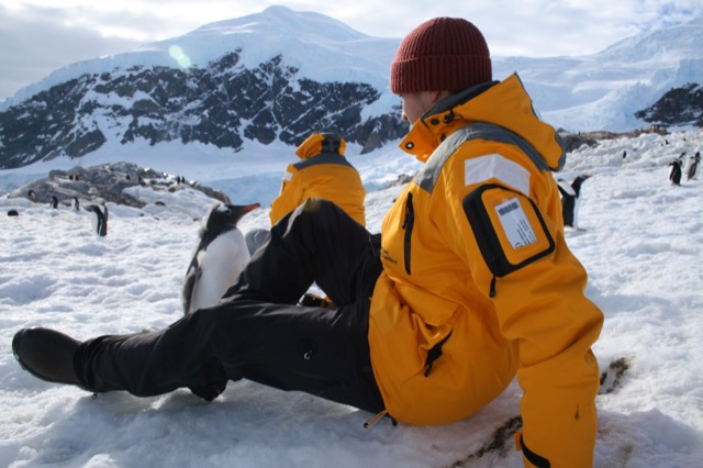 Gentoo Penguin checking out Jeremy