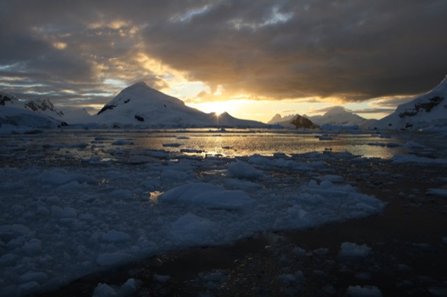 New ice at sunset