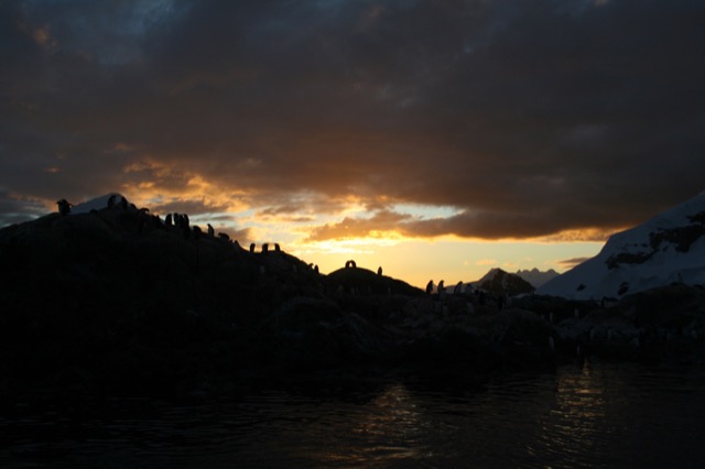 Penguin island silhouette