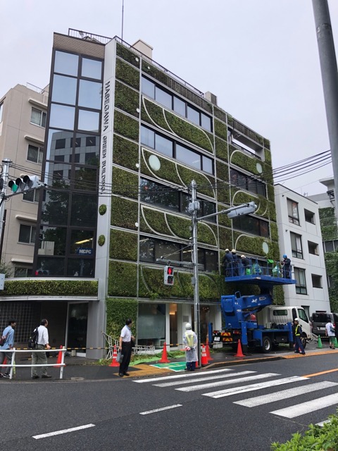 Living wall building