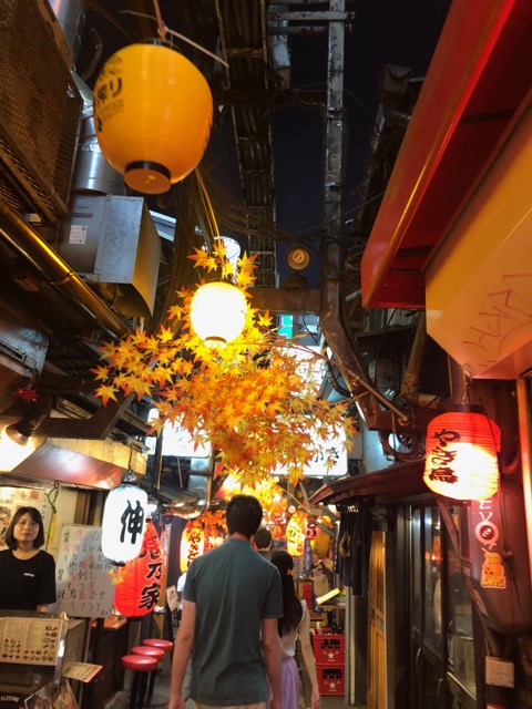 Omoide Yokocho (Piss Alley)