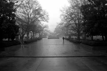 [15-sidewalk-fog1.jpg]